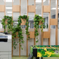 Best Air Purifying Plants for Offices and Workspaces